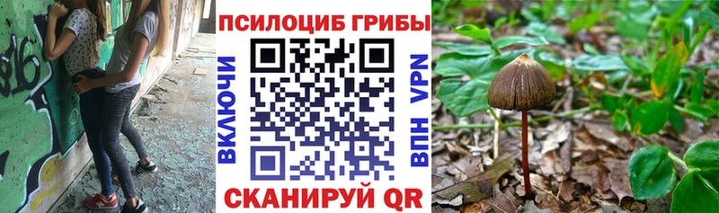 закладки  кракен маркетплейс  Псилоцибиновые грибы GOLDEN TEACHER  Светлый 